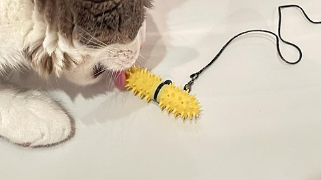 Dental Wand.jpeg