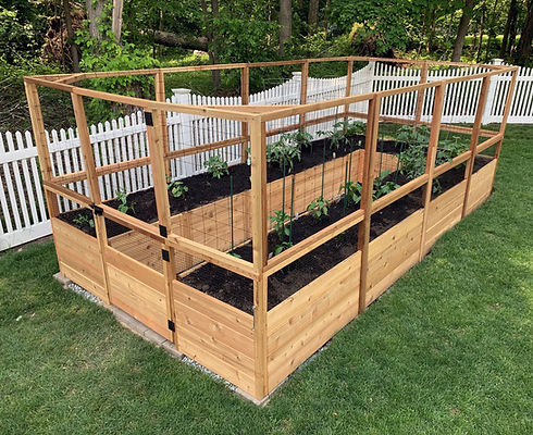 RaisedGarden.jpg