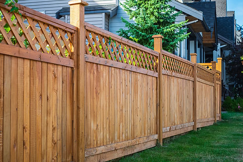 Fence1.jpg
