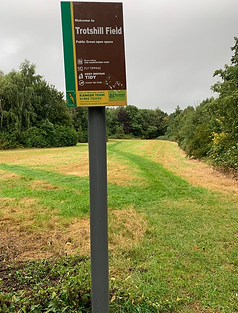 pasted image 0 (2).png