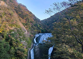 46057_0.jpg