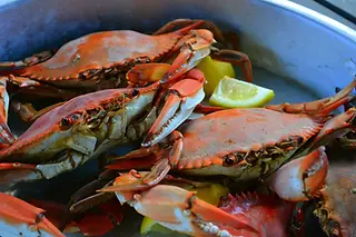 Crabs.jpg