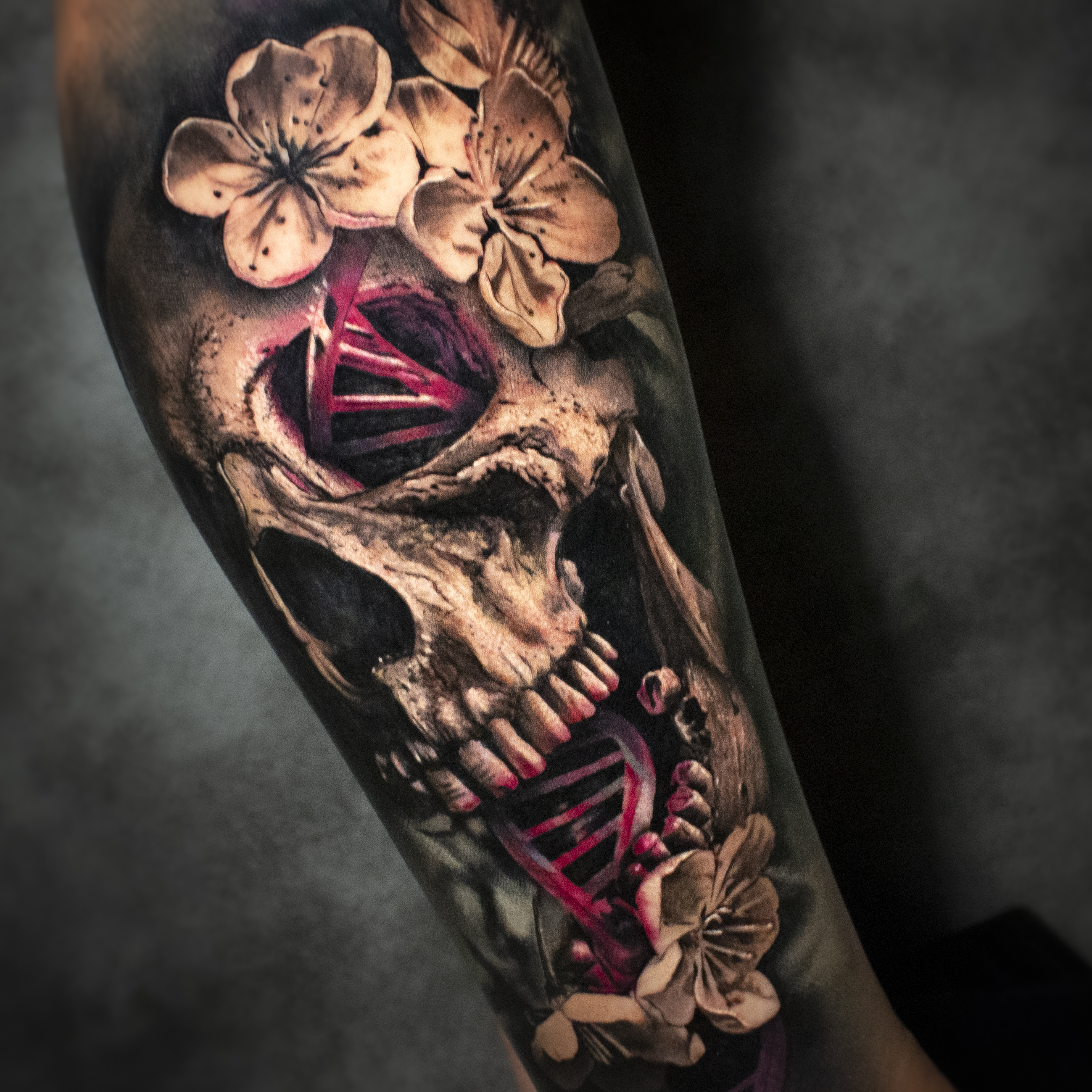 skull sev 6