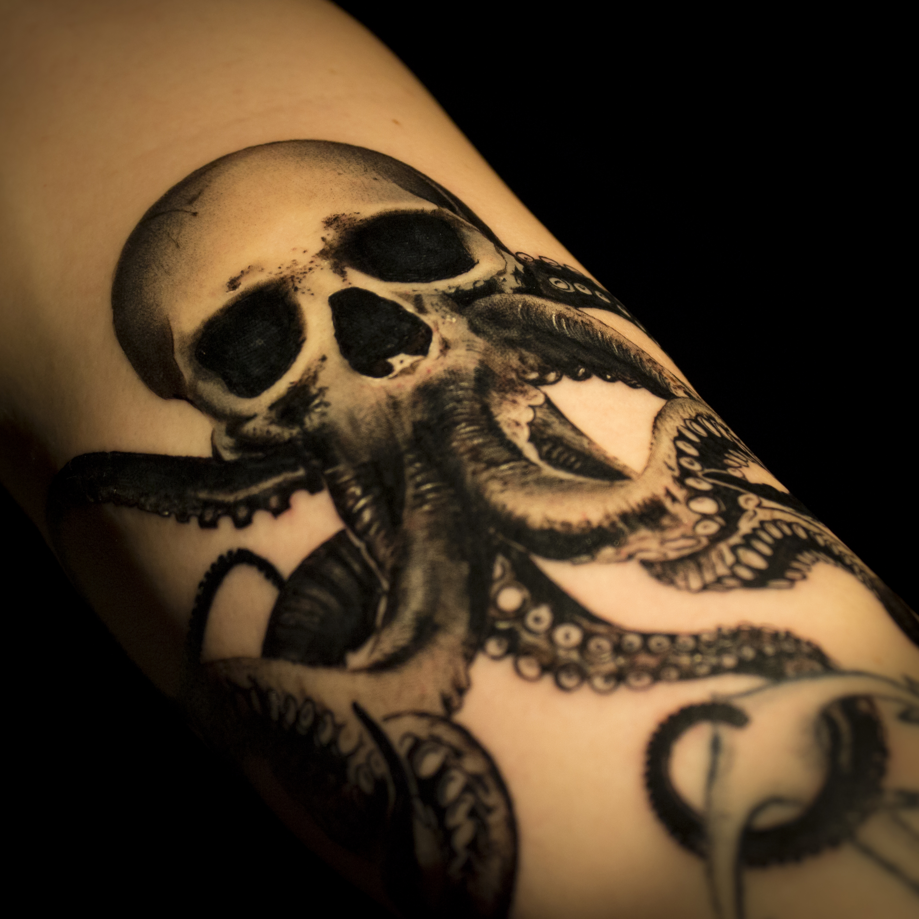 kraken 1