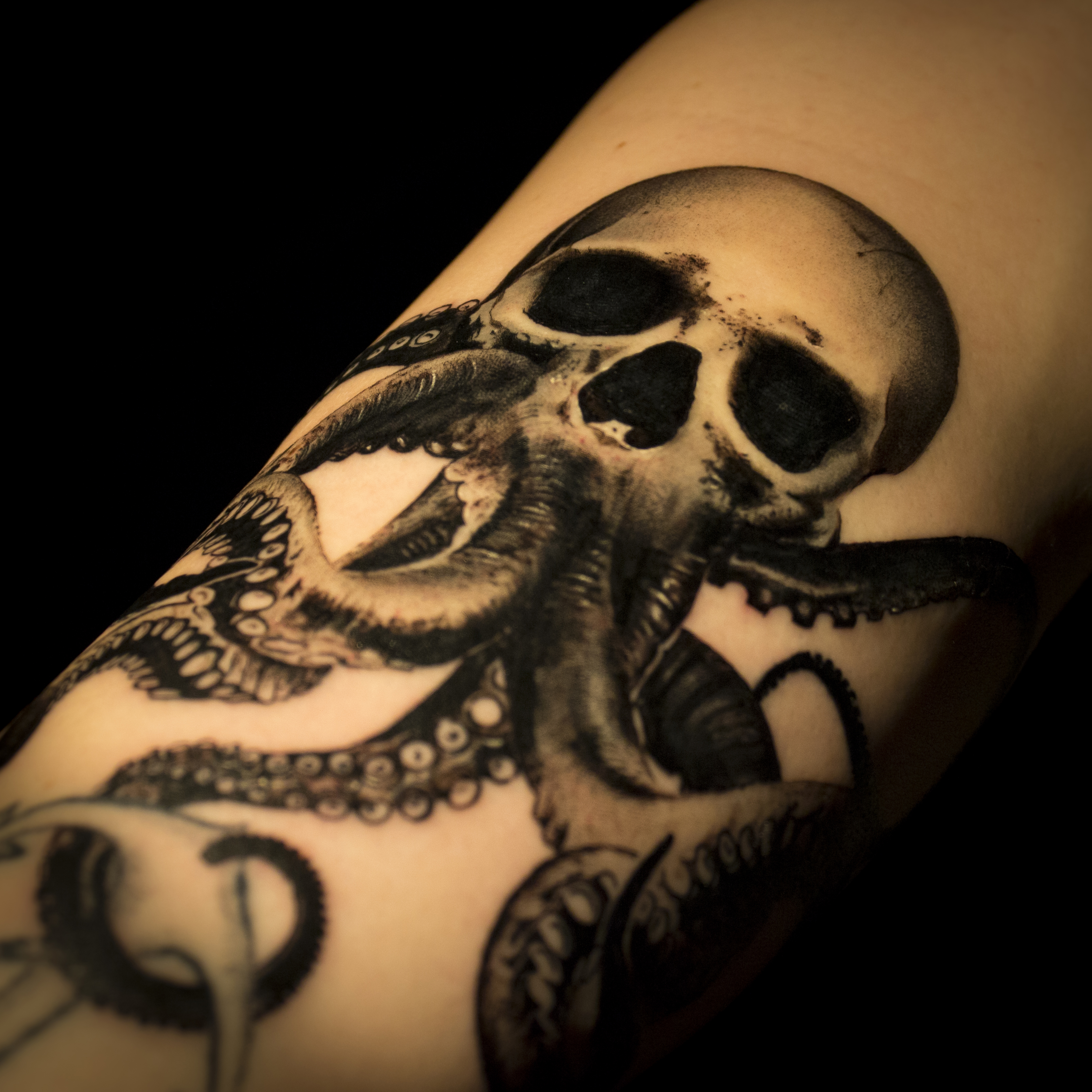kraken 2
