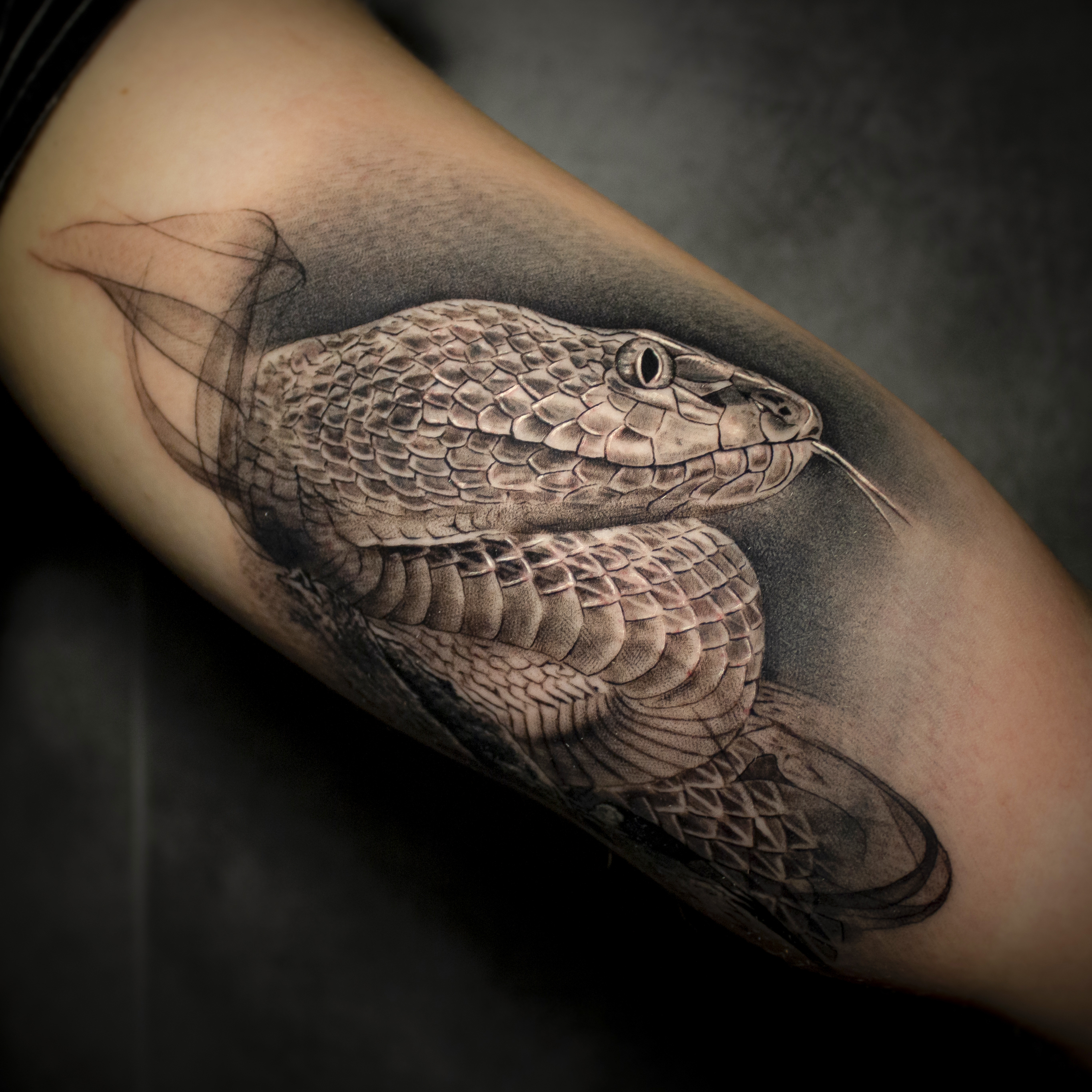 SERPENT 1