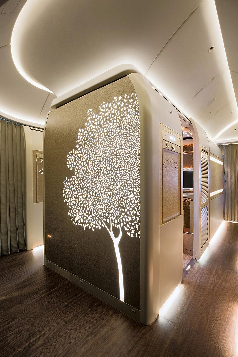 Ghaf-Tree-motif-in-First-Class