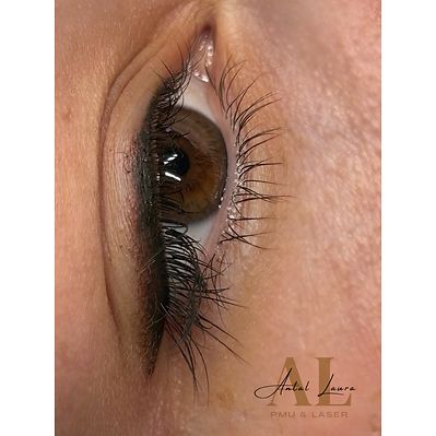 Névtelen terv (2).png