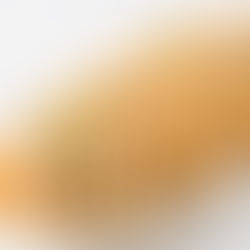 大阪たこひろ(たこ焼き)