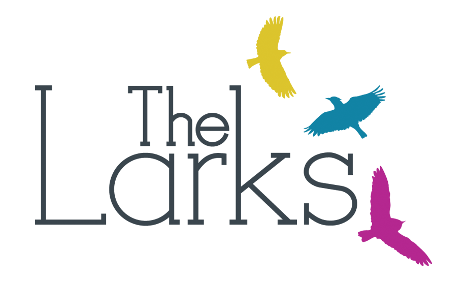 The Larks Logo