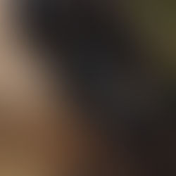 Lançamento global: nova FOX 38 entrega mais precisão, menos atrito e controle total