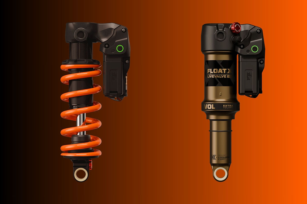 Shocks Live Valve Neo 2027
