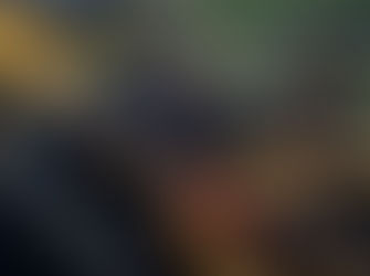 Fox apresenta a nova geração dos amortecedores traseiros Float X e DHX