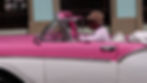 P1100361pink