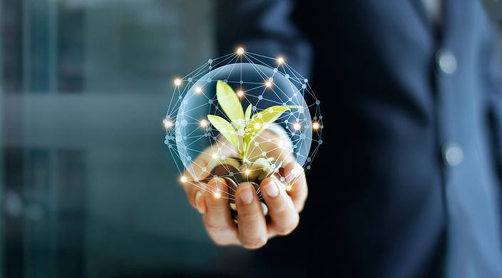 iStock-928173178.jpg