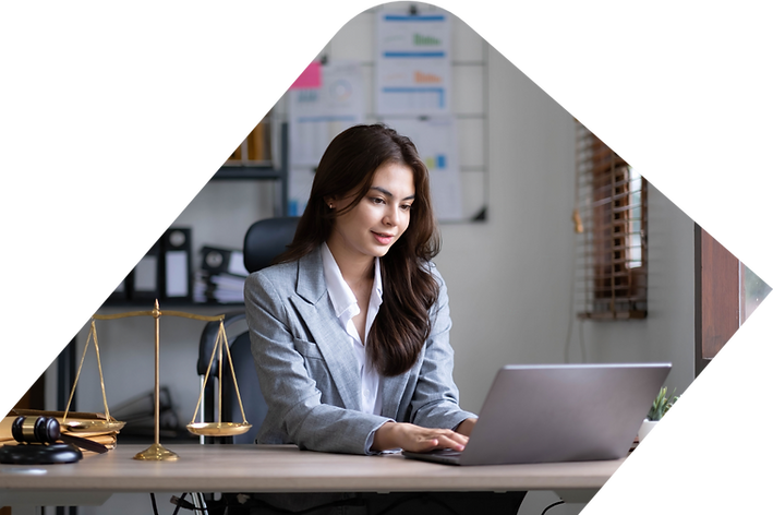 Apelación en SERVIMETERS