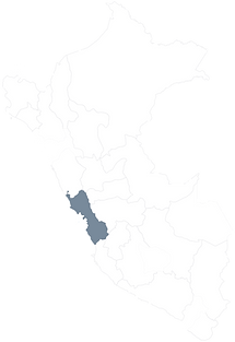 SERVIMETERS en Perú