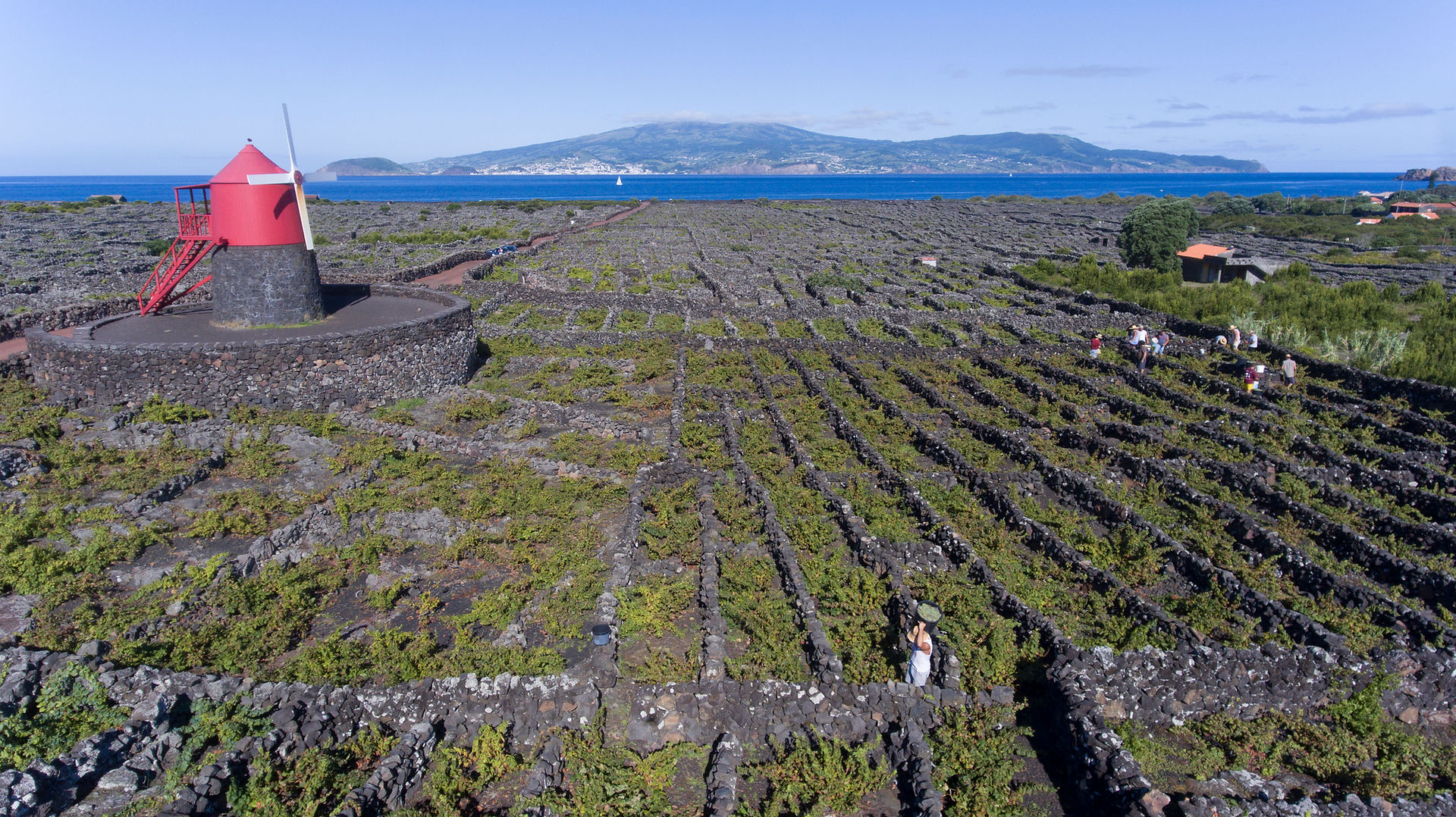 Paysage des açores