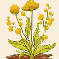 in icon to represent mustard algae.jpg
