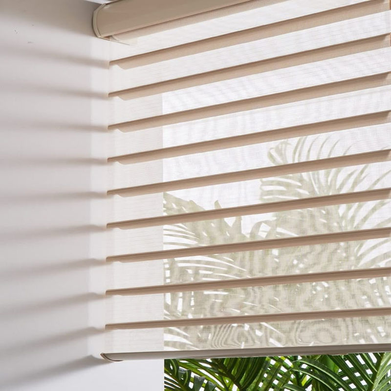 Silhouette Shades