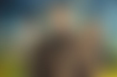 Vincent and the Doctor: Well Done Good and Faithful Servant