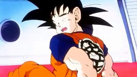 Dragon Ball Z: The Art of Waiting