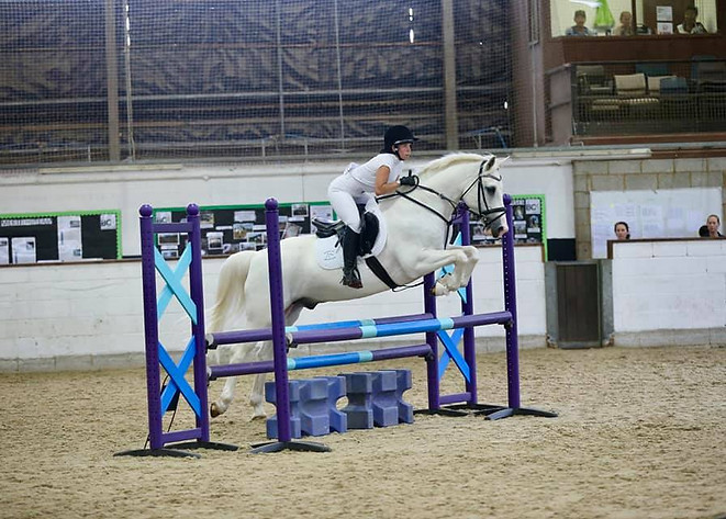 showjumping.jpg
