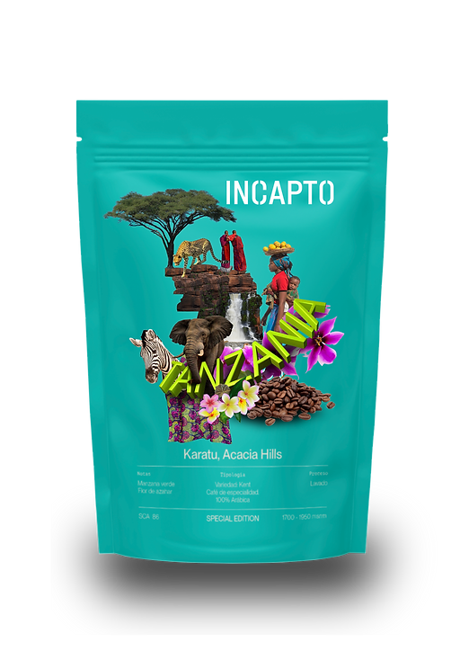 concept1 incapto copia.png