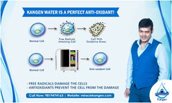 Kangen water filter system