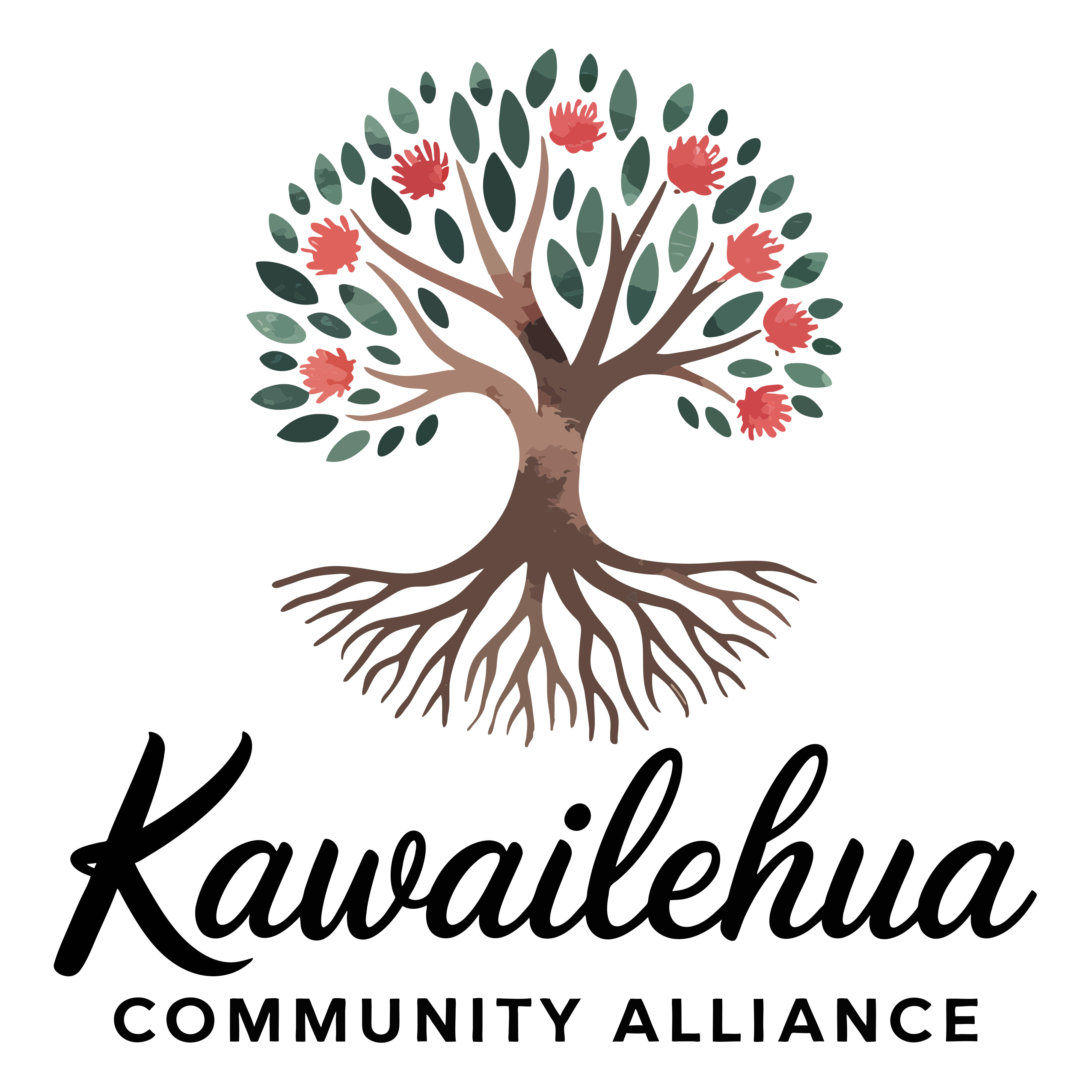 Writer: Kawailehua Community Alliance