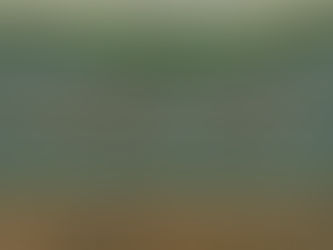 Building Community: Kawailehua Housing Alliance Initiatives