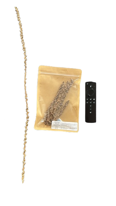 Thumbnail: Fishtail Palm Seedpod (x4)