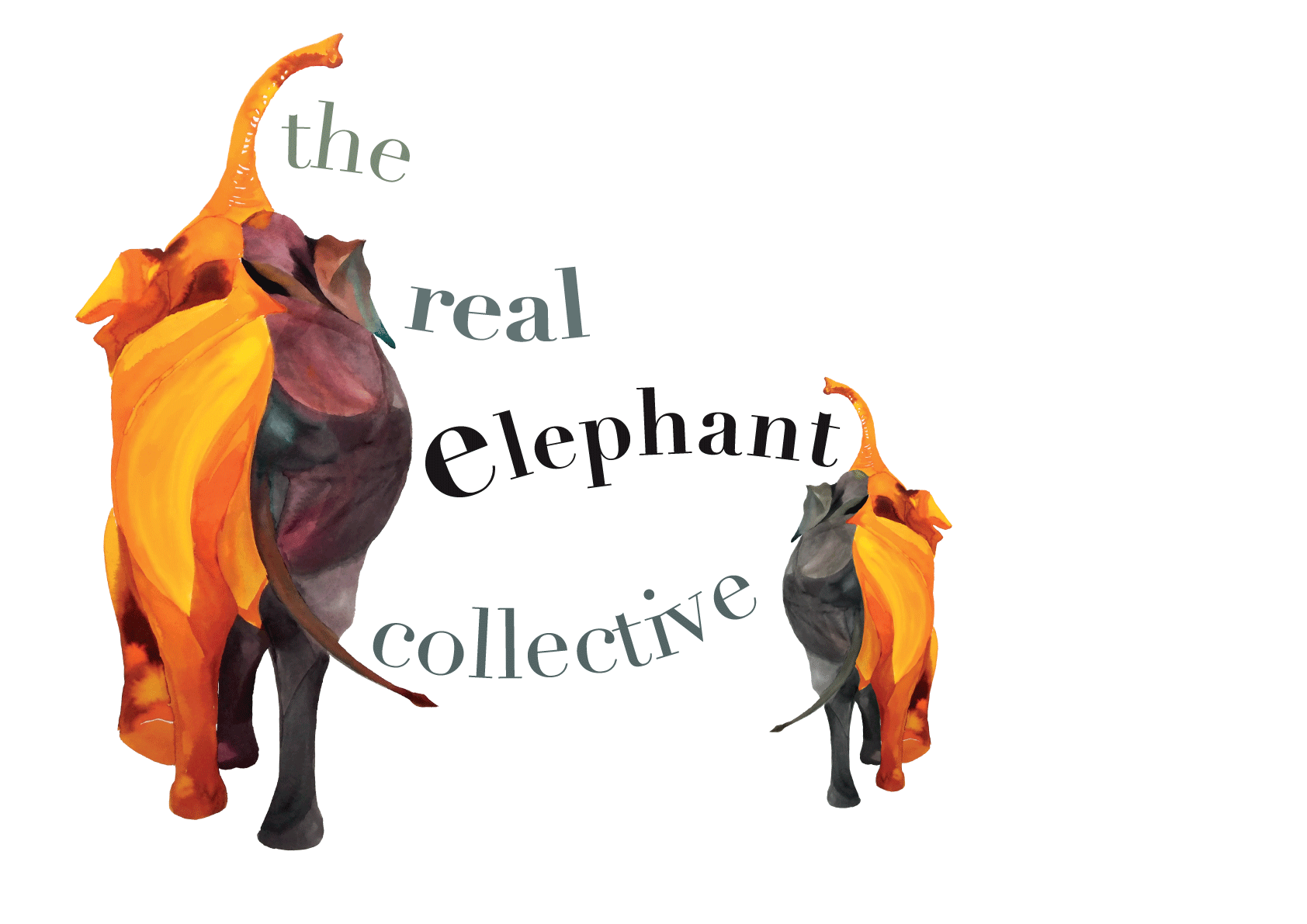 The real elephant collective.gif