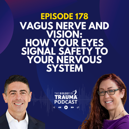 Vagus Nerve and Vision: How Your Eyes Signal Safety to Your Nervous System