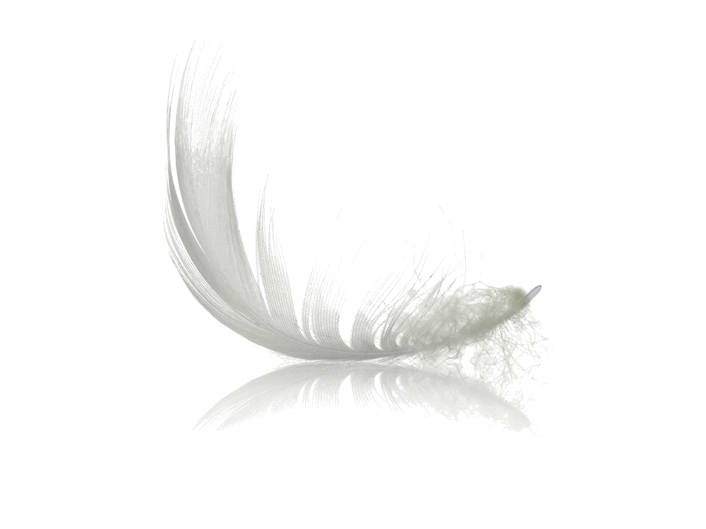 inkeri LAPPI logo