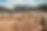 WX20220606-171654_2x.png