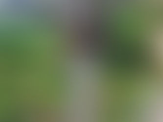 Operação apreende mais de 100 kg de “supermaconha” e prende suspeitos em Teixeira, no Sertão da Paraíba