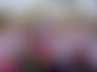 NO BREJO: Areial recebe nova Academia da Saúde com recursos de emenda de Efraim Filho