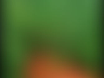 VÍDEO: Milhares de pés de maconha são destruídos em megaoperação da FICCO na Paraíba