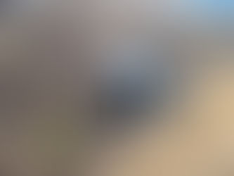 NO CARIRI: Colisão deixa veículo totalmente destruído na BR-412; ônibus levava estudantes para realizar Enem