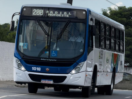 CAMPINA GRANDE: STTP define operação especial de transporte para o feriado da Imaculada Conceição e dezembro