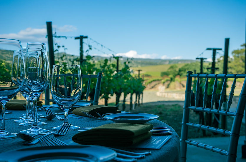 Photograph of a table in a vineyard, set for an al fresco wine tasting with food.