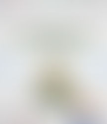 Kuzey Anadolu Kalkınma Ajansı’nın "Yeni Nesil Kırsal Kalkınma" Raporu Yayınlandı