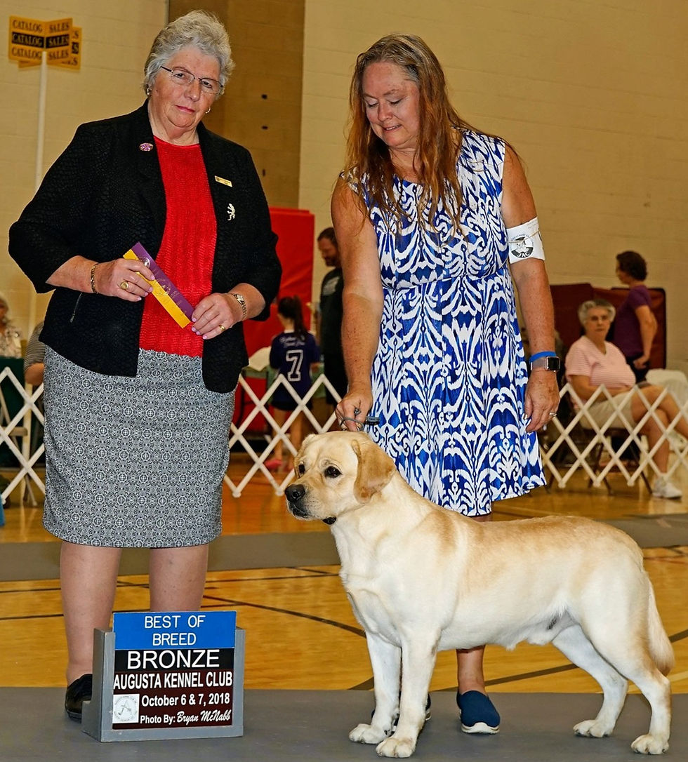 Beau gets his Bronze