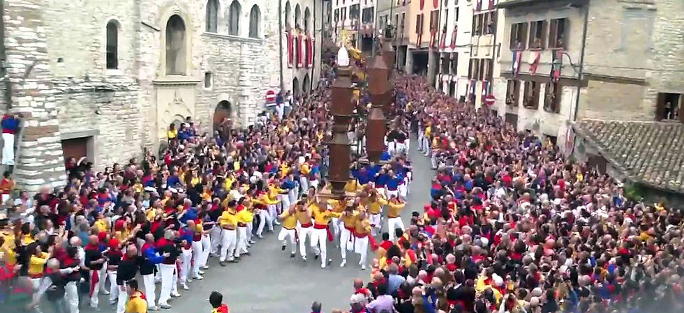 Thumbnail: Simpatico Italy’s Finest Wine & Food Tour to Italy 2023