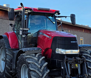 20250401_180344 (1).jpg