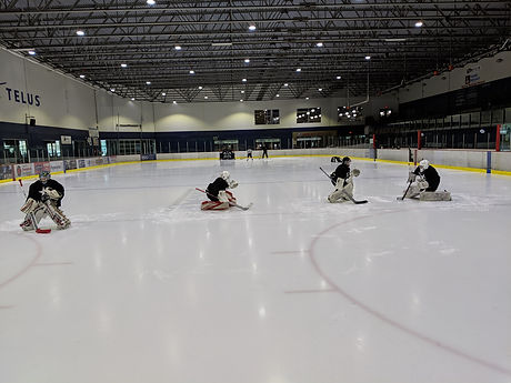 MVIMG_20190501_080925.jpg