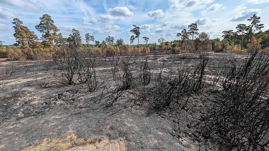 Blackheath fire August 2025.jpg