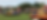 funfair_edited.png