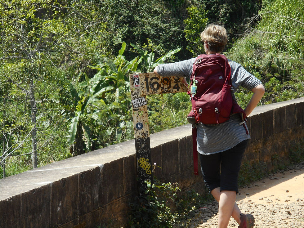 ELLA, le pont aux 9 arches